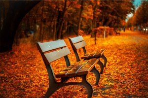 seating in autumn