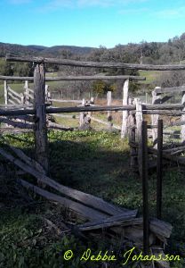 NangarNationalParksmaller